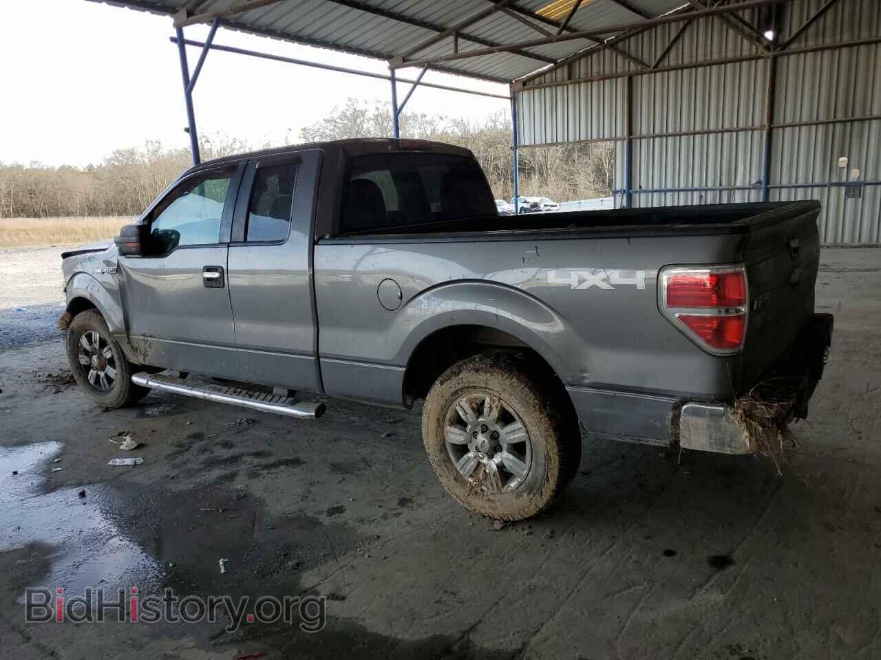 2011 FORD F-150 - VIN: 1FTFX1EF3BFC54987 - Фото 2