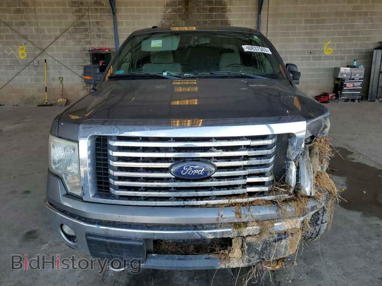 2011 FORD F-150 - VIN: 1FTFX1EF3BFC54987 - Фото 5