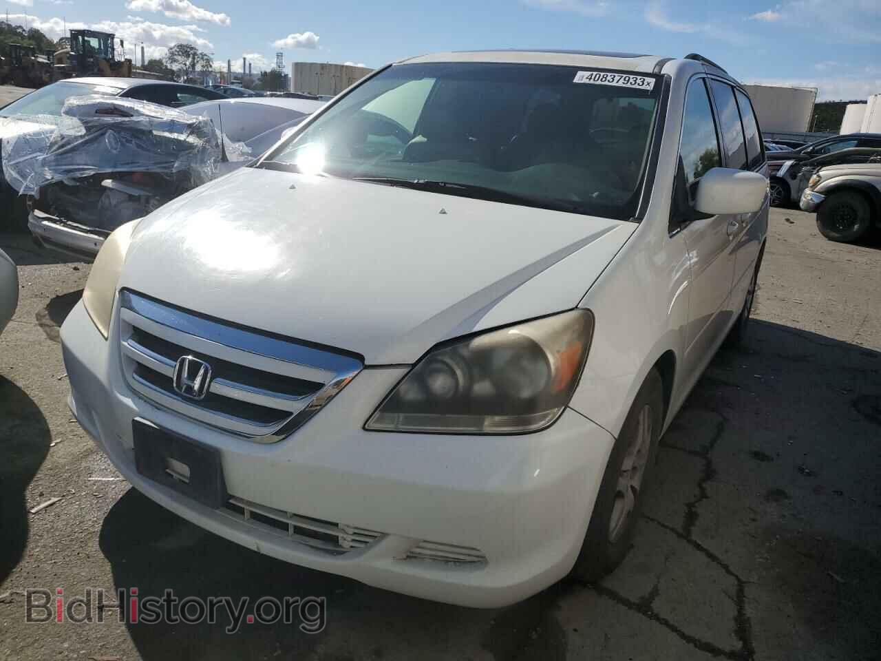 Photo 5FNRL38646B403384 - HONDA ODYSSEY 2006