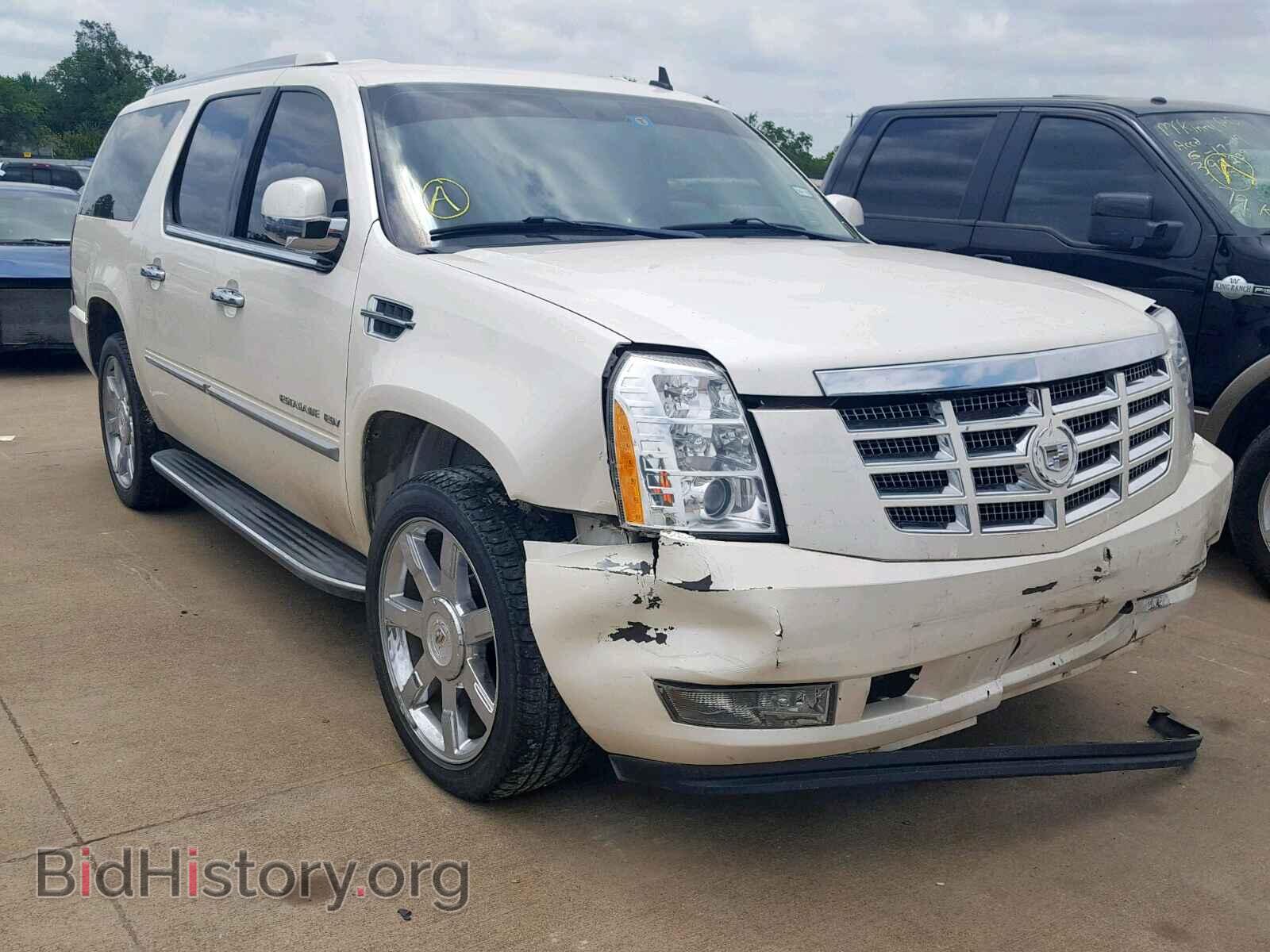 Фотография 1GYS3HEF2BR164550 - CADILLAC ESCALADE E 2011