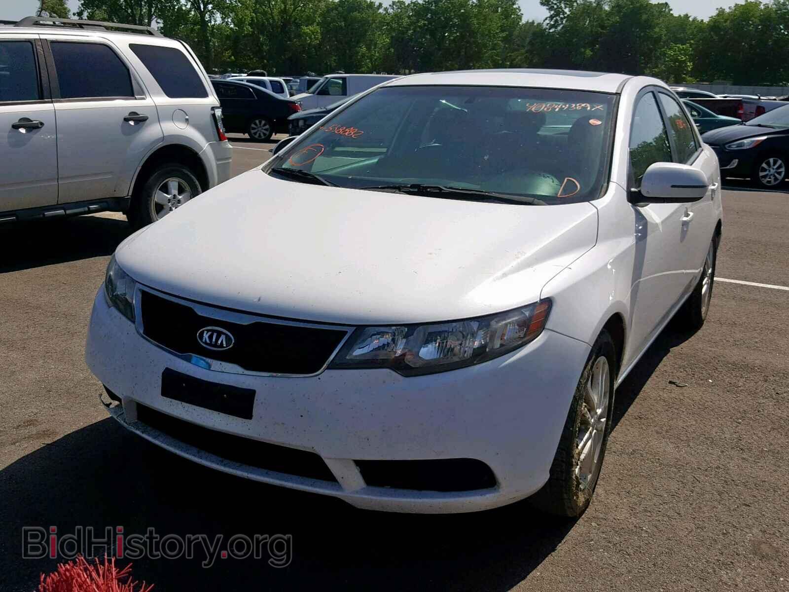 2012 KIA FORTE EX - VIN: KNAFU4A26C5558882 - Фото 2