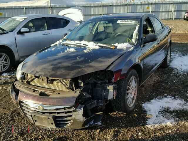 2004 CHRYSLER SEBRING - VIN: 1C3EL56R84N281171 - Фото 2