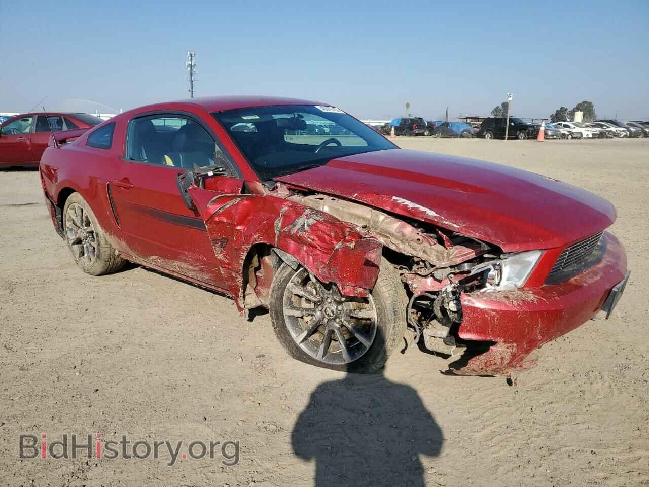 2011 FORD MUSTANG - VIN: 1ZVBP8CF3B5111017 - Фото 4