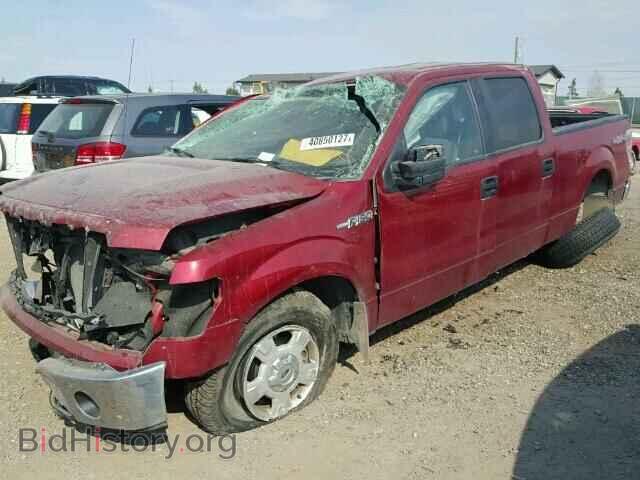 2014 FORD F150 - VIN: 1FTFW1EF2EKF65177 - Фото 2