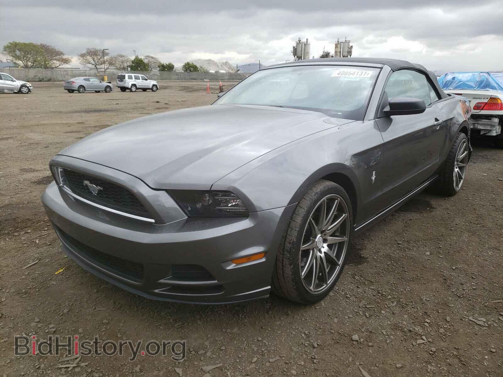 2013 FORD MUSTANG - VIN: 1ZVBP8EM9D5245478 - Фото 2