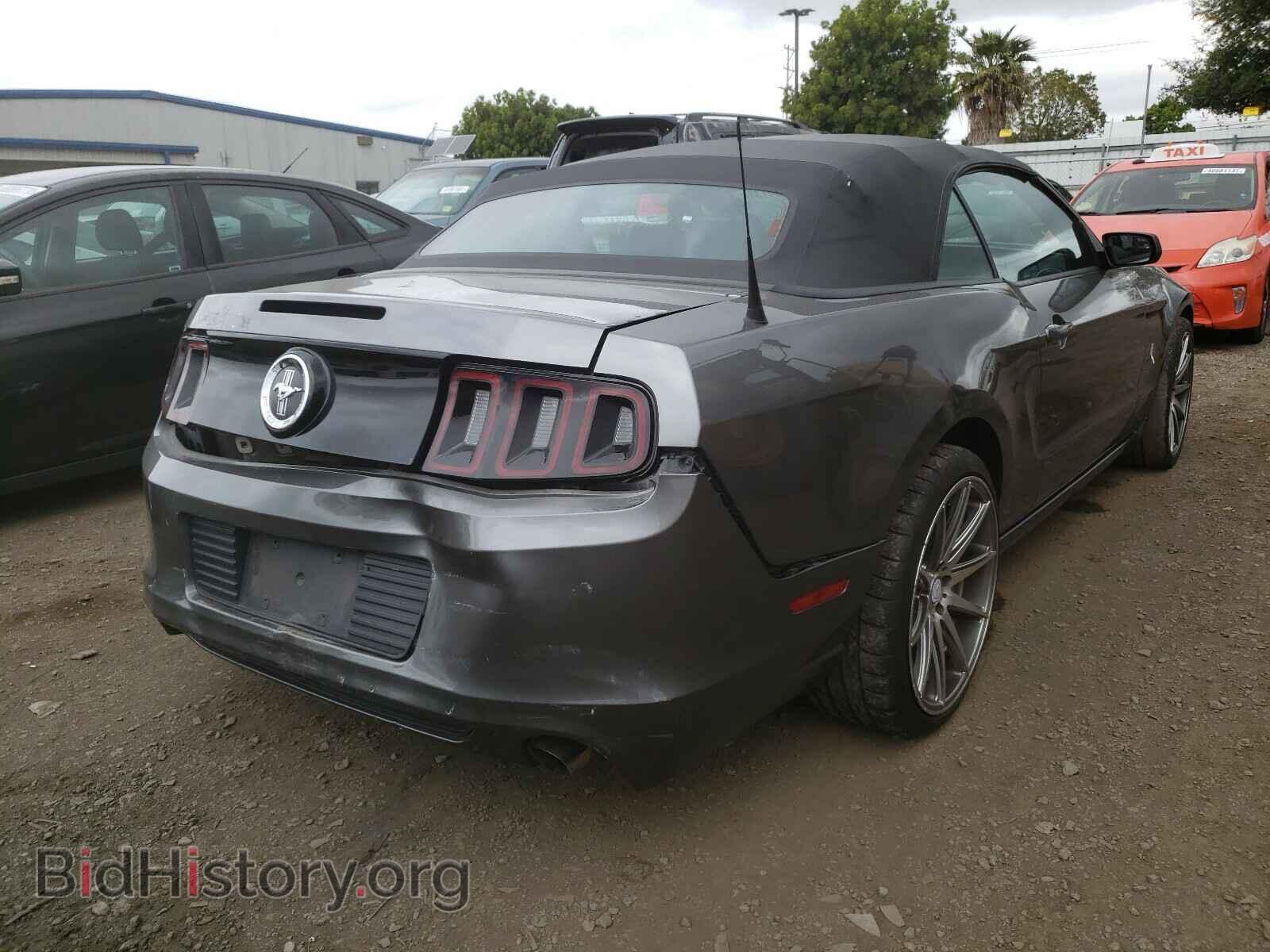 2013 FORD MUSTANG - VIN: 1ZVBP8EM9D5245478 - Фото 4