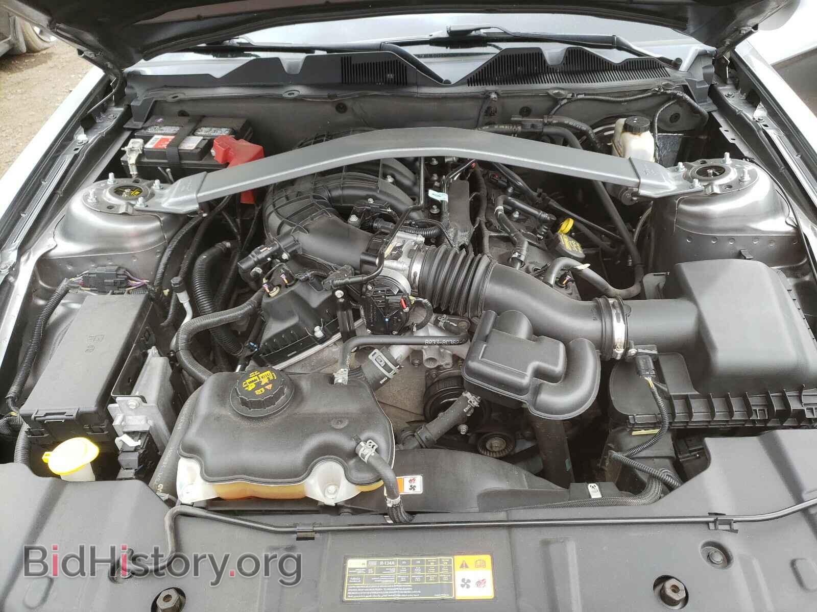 2013 FORD MUSTANG - VIN: 1ZVBP8EM9D5245478 - Фото 7