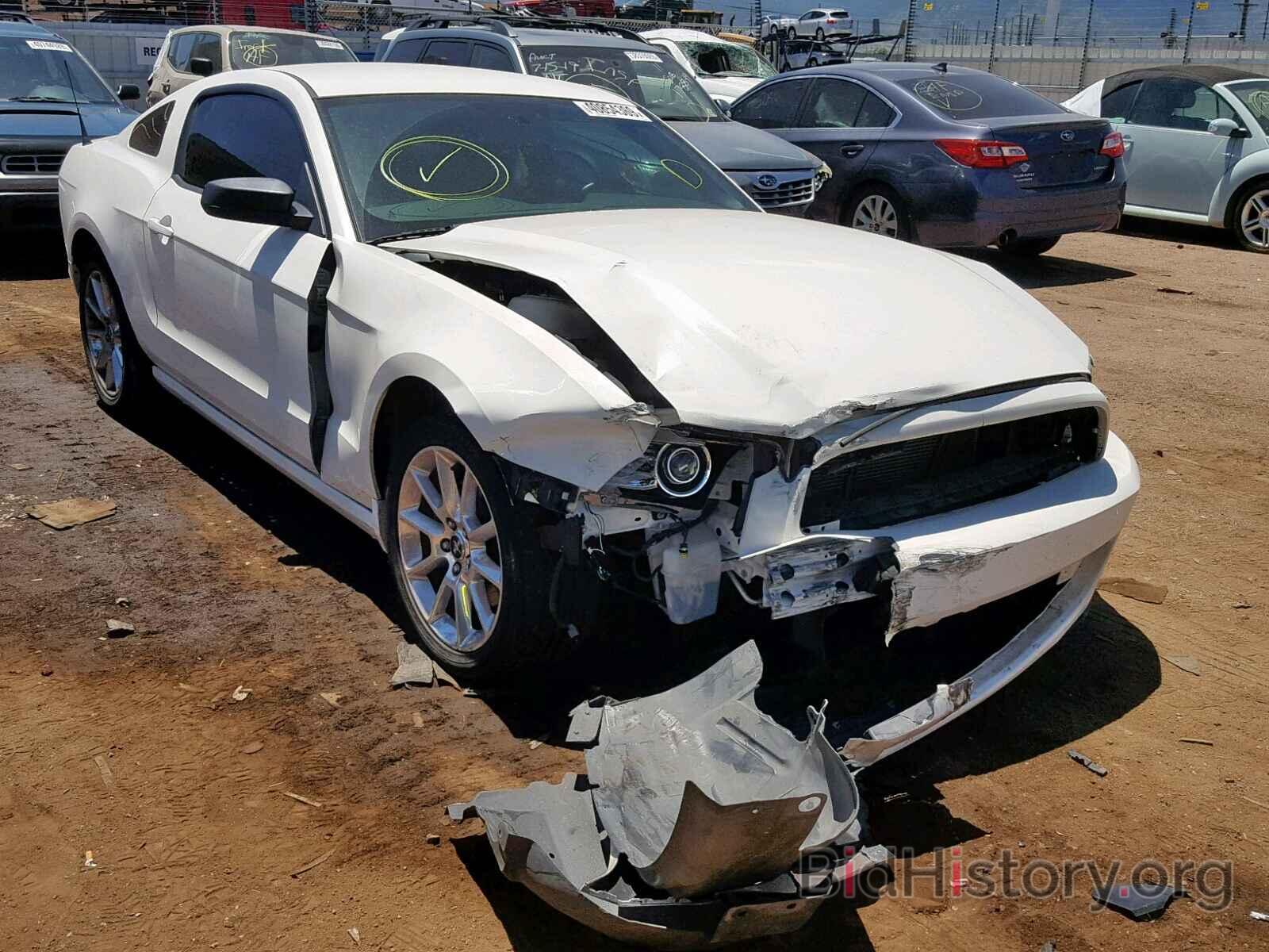 Photo 1ZVBP8AM7D5256937 - FORD MUSTANG 2013