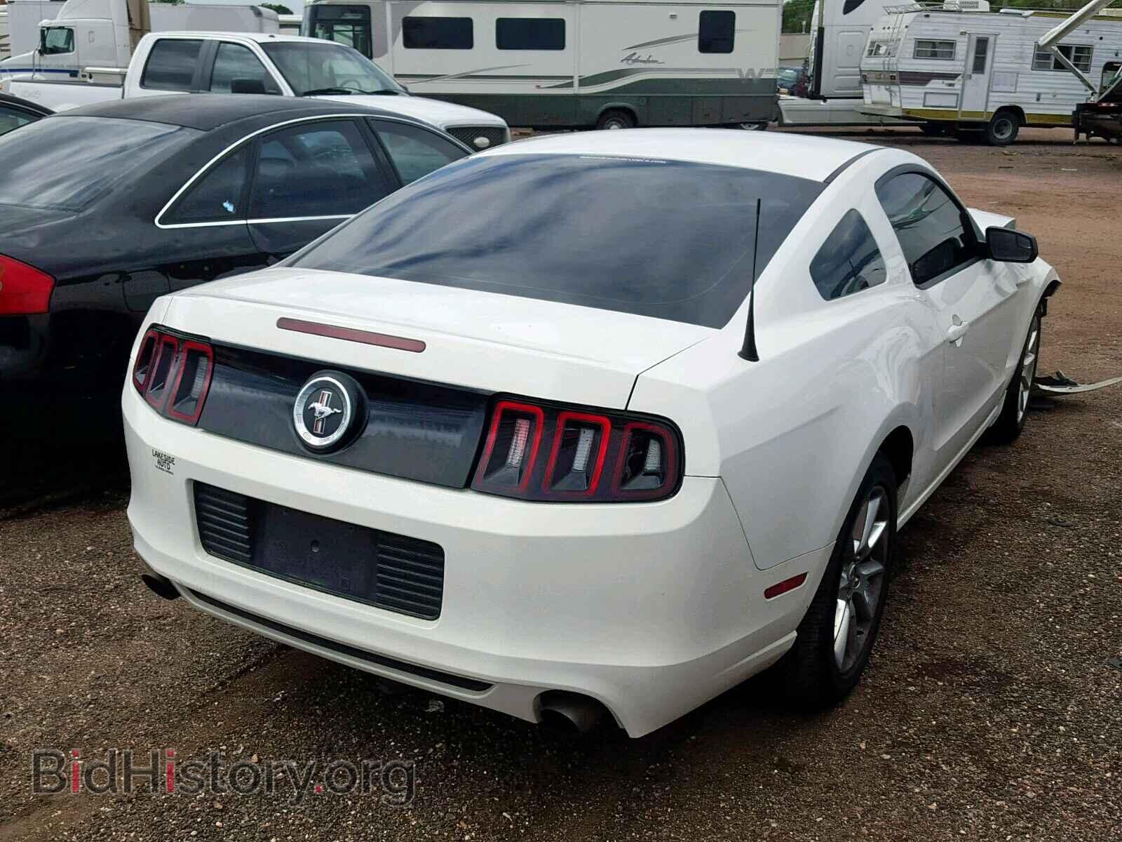 2013 FORD MUSTANG - VIN: 1ZVBP8AM7D5256937 - Фото 4