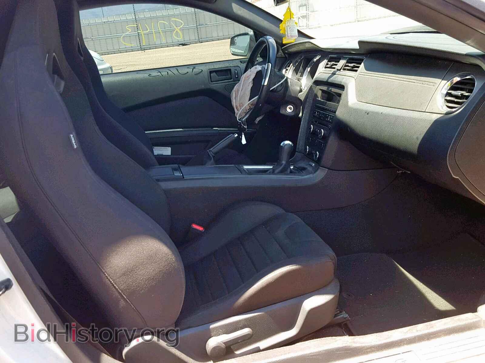 2013 FORD MUSTANG - VIN: 1ZVBP8AM7D5256937 - Фото 5