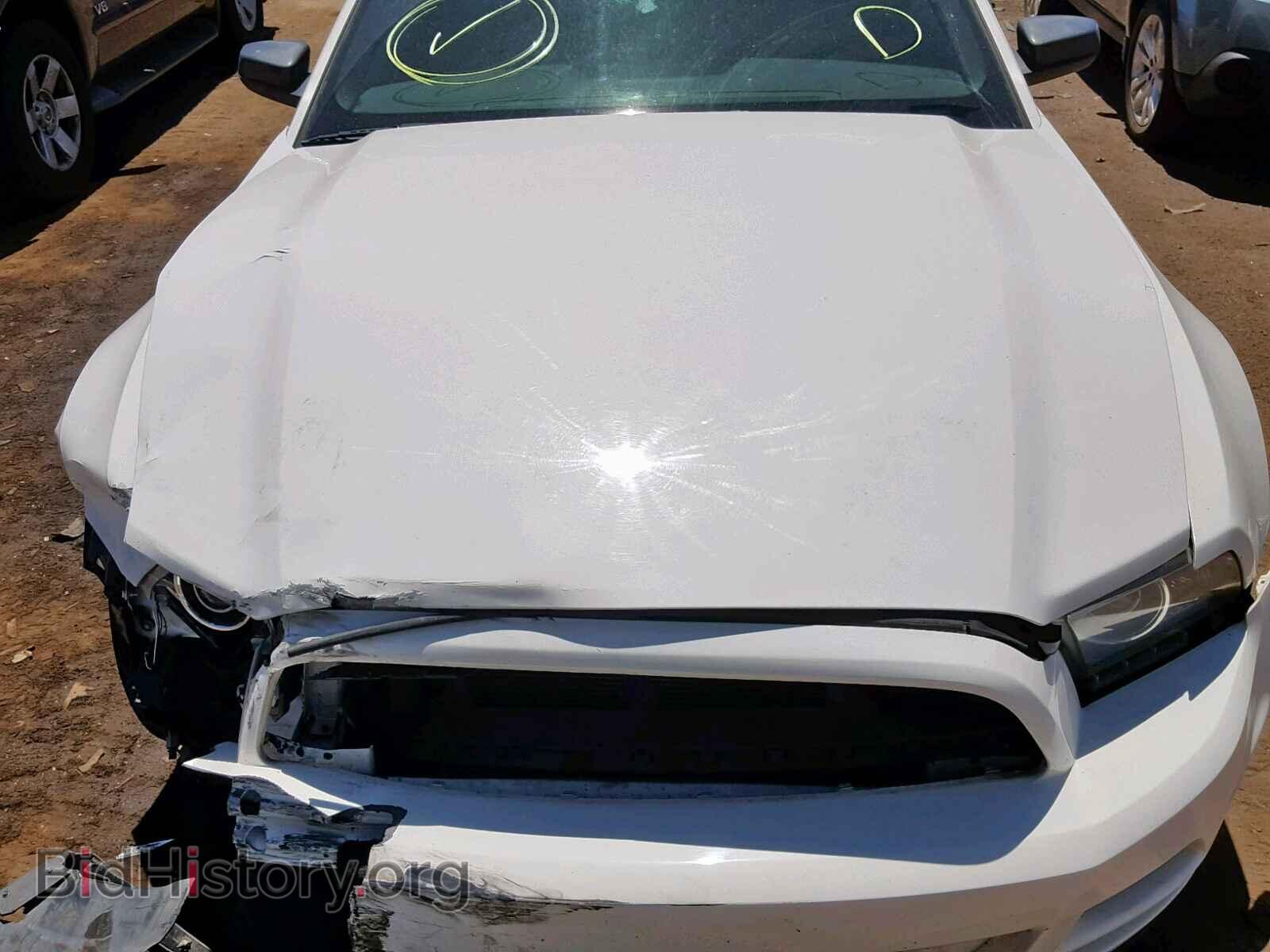 2013 FORD MUSTANG - VIN: 1ZVBP8AM7D5256937 - Фото 7