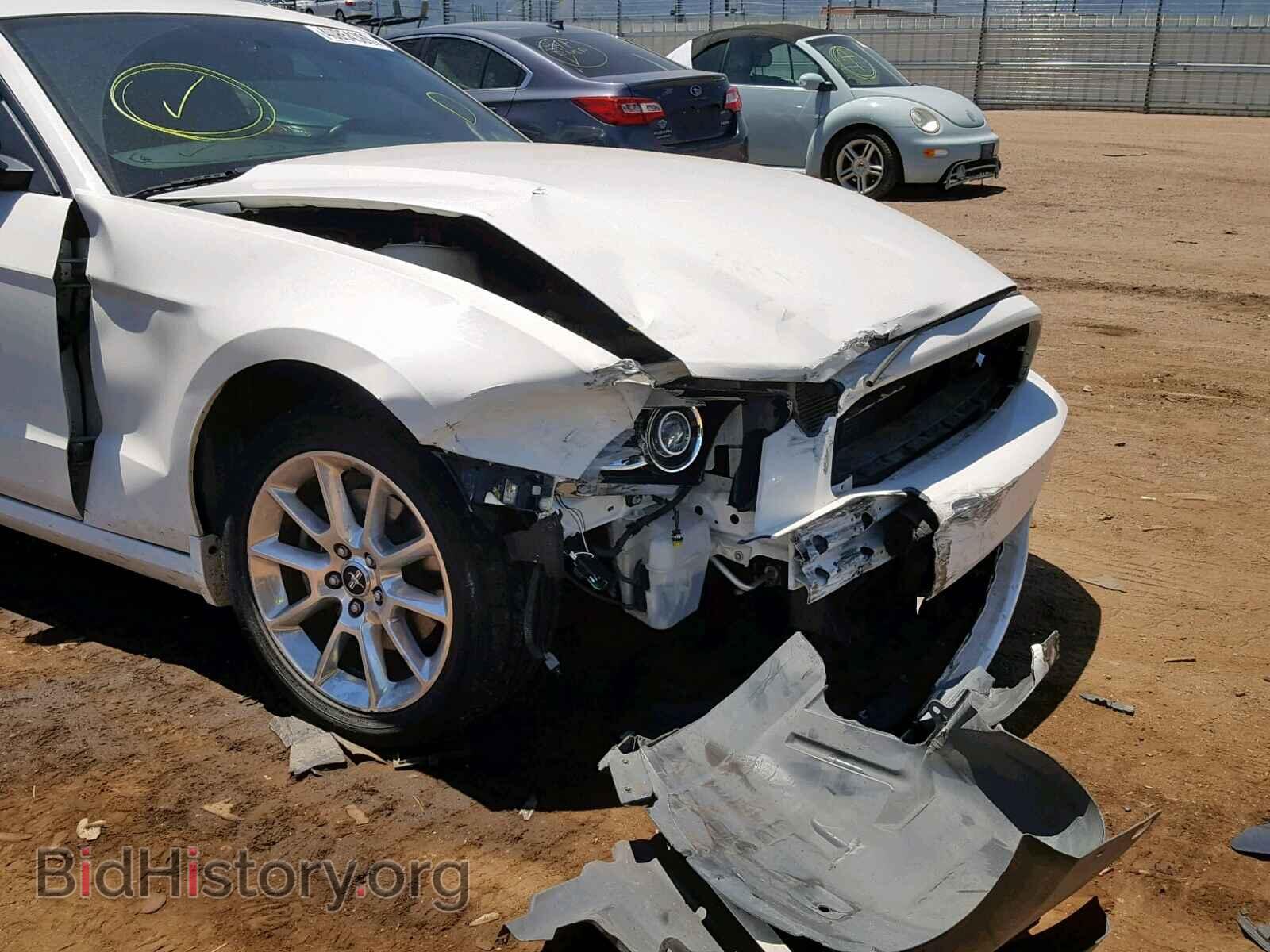 2013 FORD MUSTANG - VIN: 1ZVBP8AM7D5256937 - Фото 9