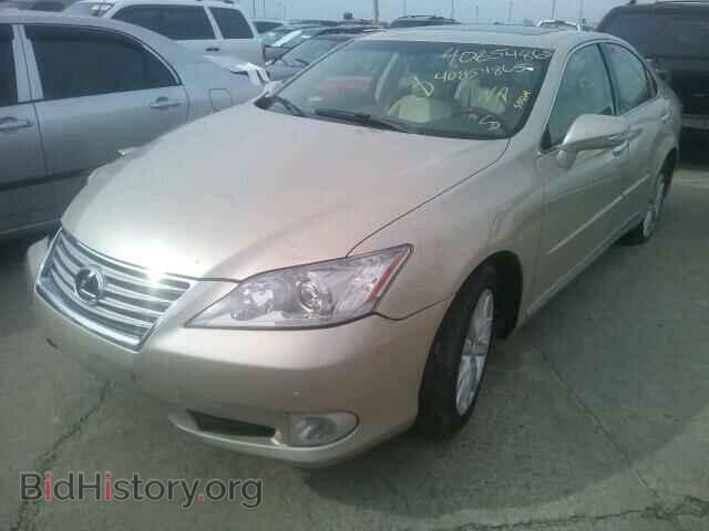 2012 LEXUS ES350 - VIN: JTHBK1EG5C2511564 - Фото 2
