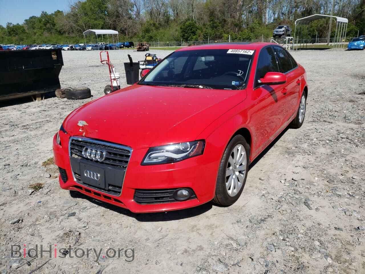 2011 AUDI A4 - VIN: WAUFFAFL2BA101003 - Фото 2