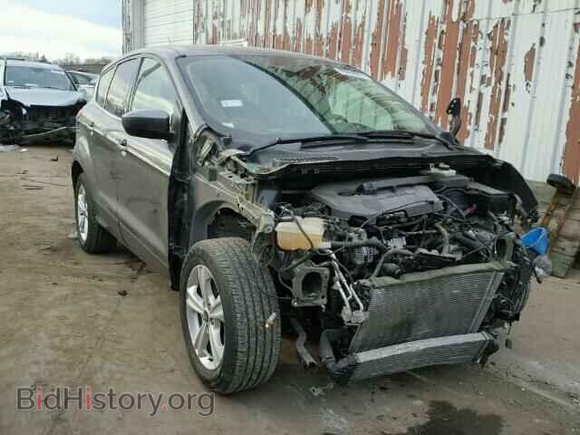 Photo 1FMCU0GX6EUA50837 - FORD ESCAPE 2014