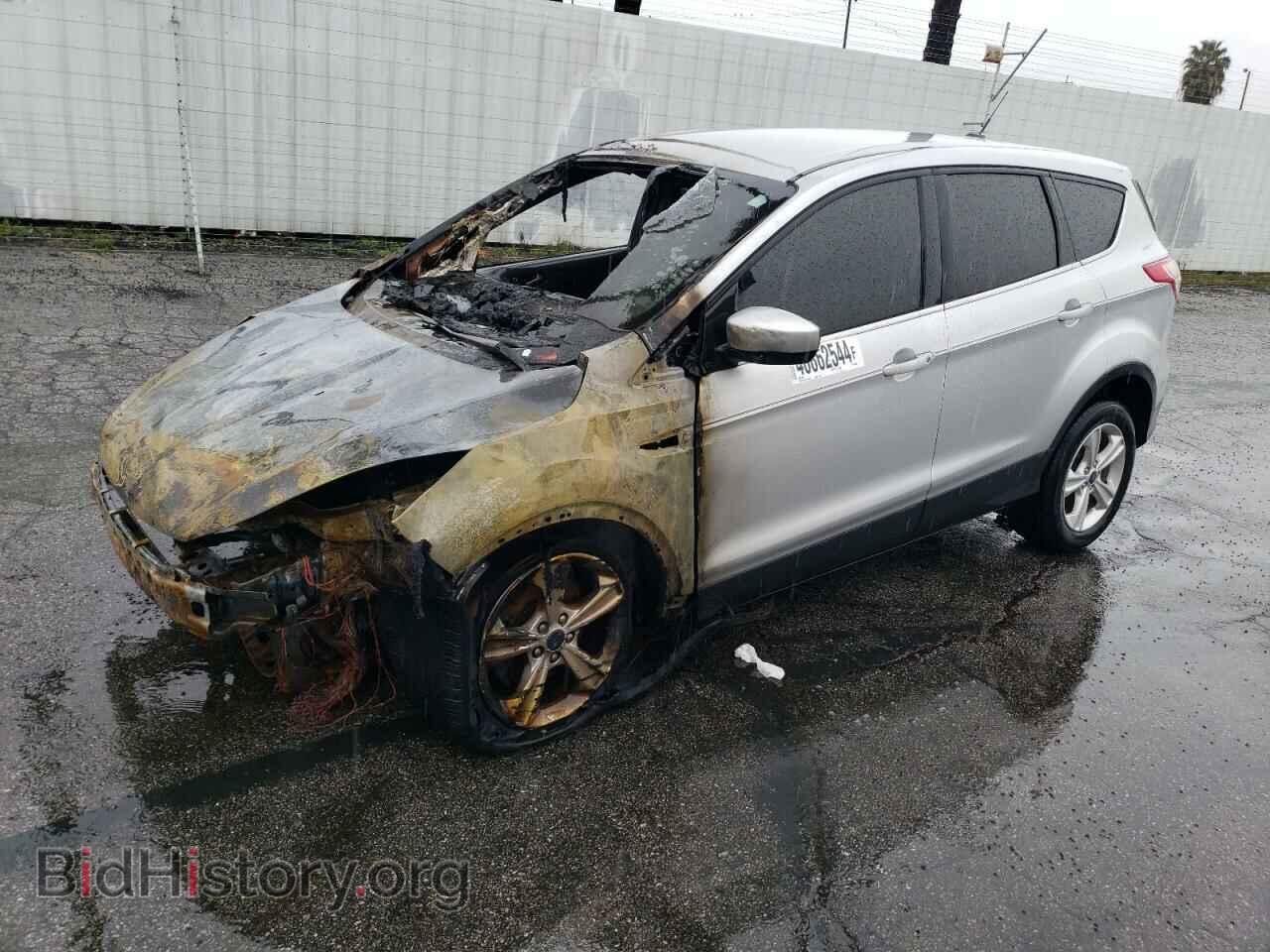 Photo 1FMCU0GX0EUC94029 - FORD ESCAPE 2014