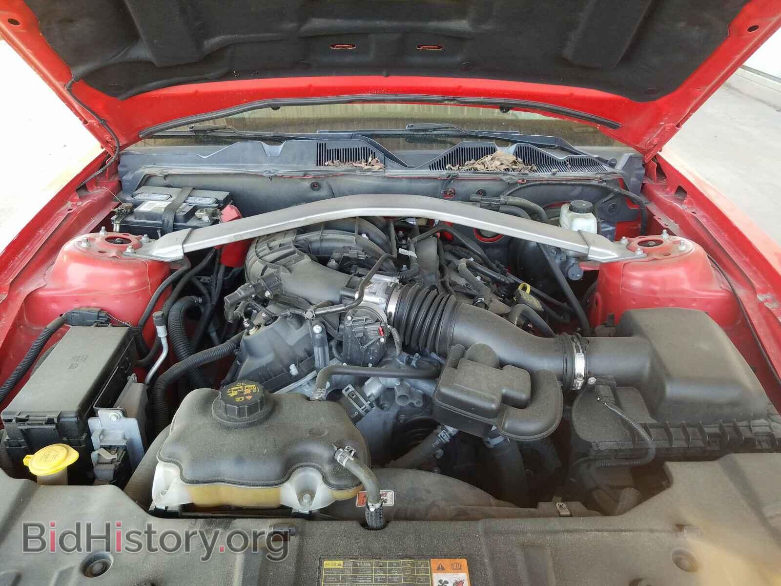 2013 FORD MUSTANG - VIN: 1ZVBP8EM8D5276298 - Фото 7
