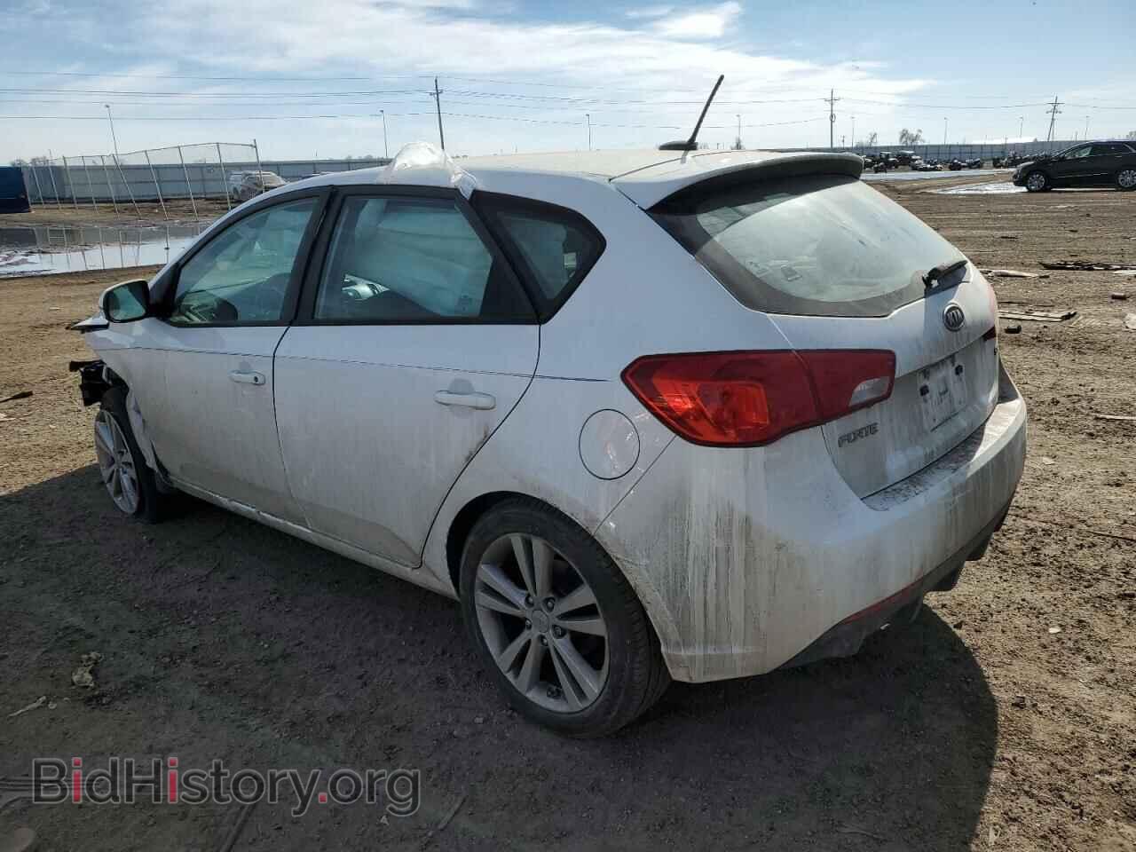 2011 KIA FORTE - VIN: KNAFW5A32B5408131 - Фото 2
