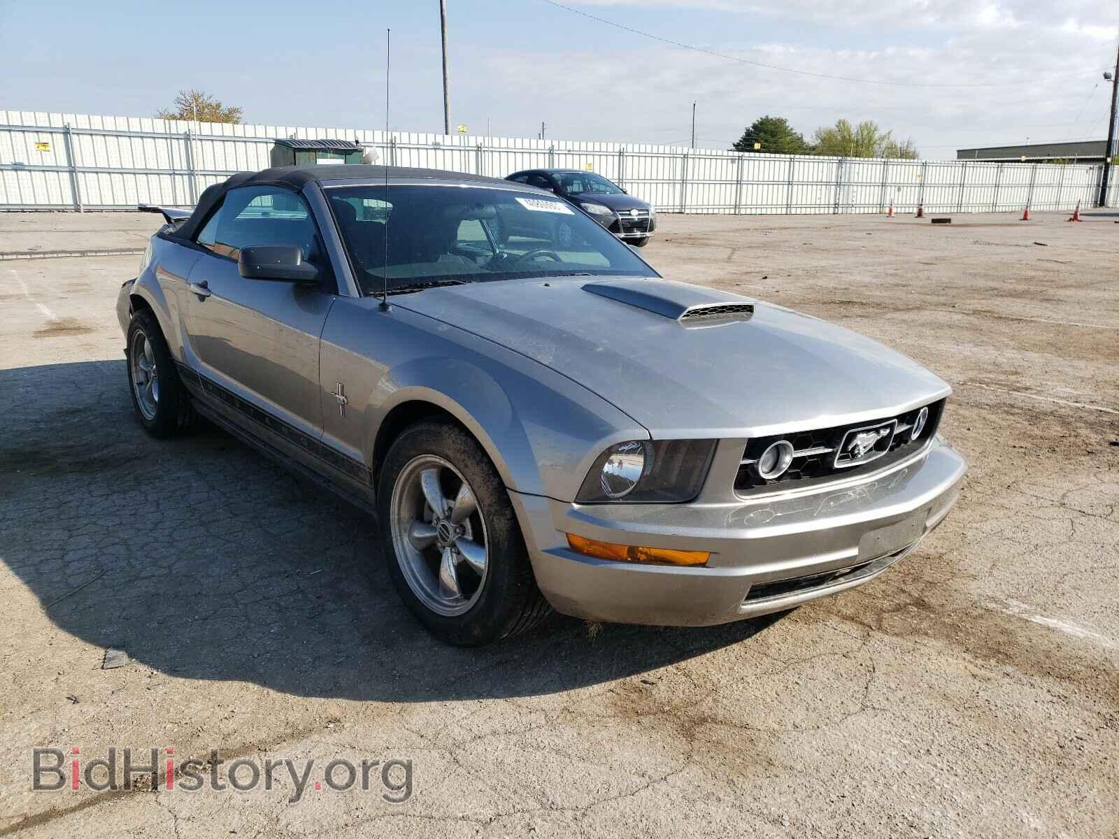 Фотография 1ZVHT84N385169939 - FORD MUSTANG 2008