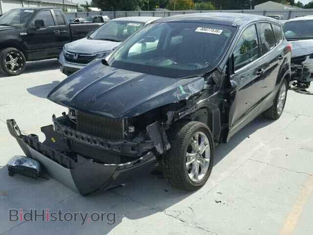 2013 FORD ESCAPE - VIN: 1FMCU0H93DUA94504 - Фото 2