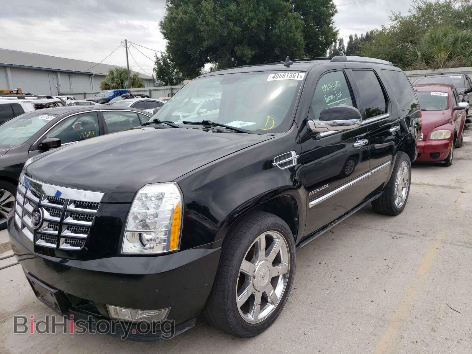 2011 CADILLAC ESCALADE - VIN: 1GYS4CEF0BR155684 - Фото 2