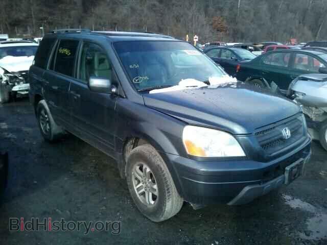 Фотография 5FNYF18545B009302 - HONDA PILOT 2005