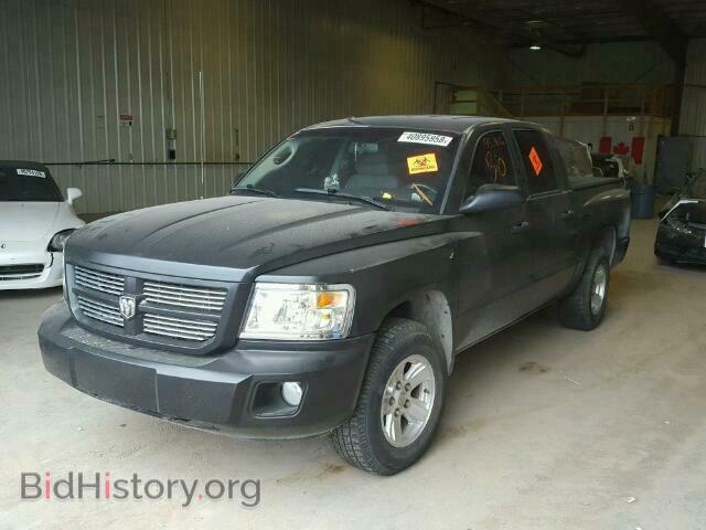 2011 DODGE DAKOTA - VIN: 1D7RW3GP6BS619919 - Фото 2