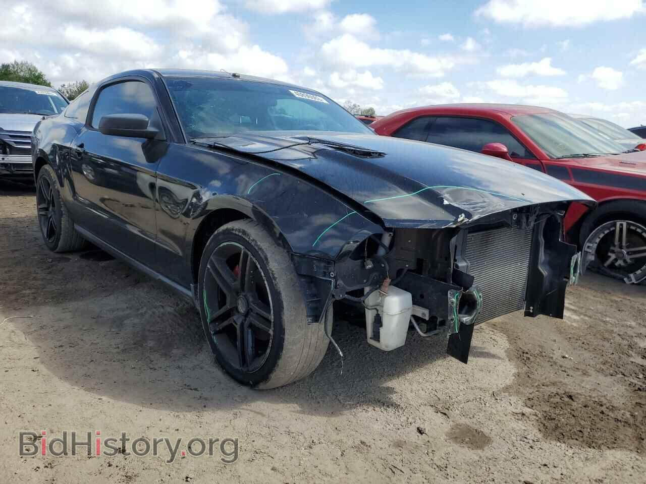 2011 FORD MUSTANG - VIN: 1ZVBP8AM8B5125657 - Фото 4