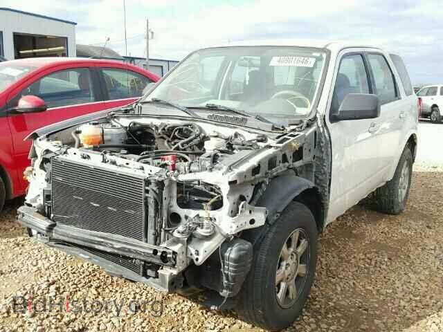 2011 MAZDA TRIBUTE - VIN: 4F2CY0C75BKM05731 - Фото 2