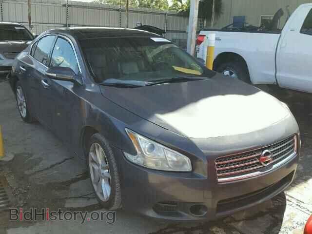 Photo 1N4AA5AP6AC814864 - NISSAN MAXIMA 2010