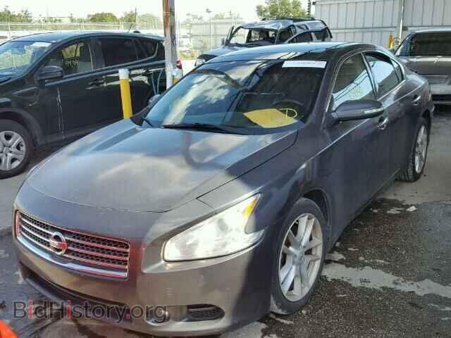 2010 NISSAN MAXIMA - VIN: 1N4AA5AP6AC814864 - Фото 2