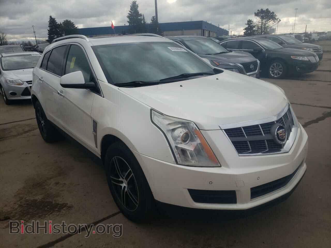 Фотография 3GYFNDEY2AS594760 - CADILLAC SRX 2010