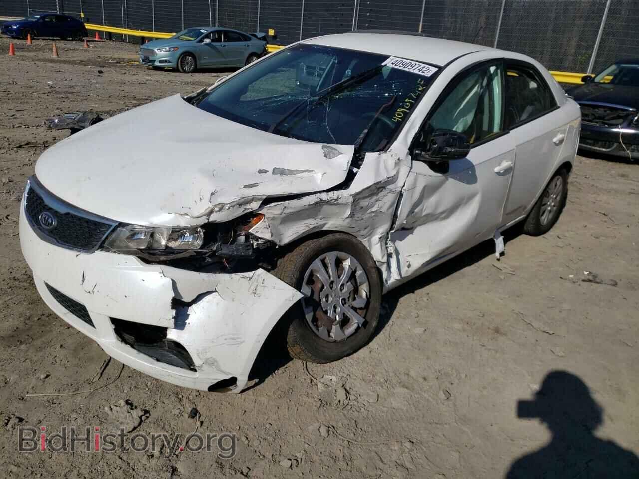 2012 KIA FORTE - VIN: KNAFU4A23C5556071 - Фото 2