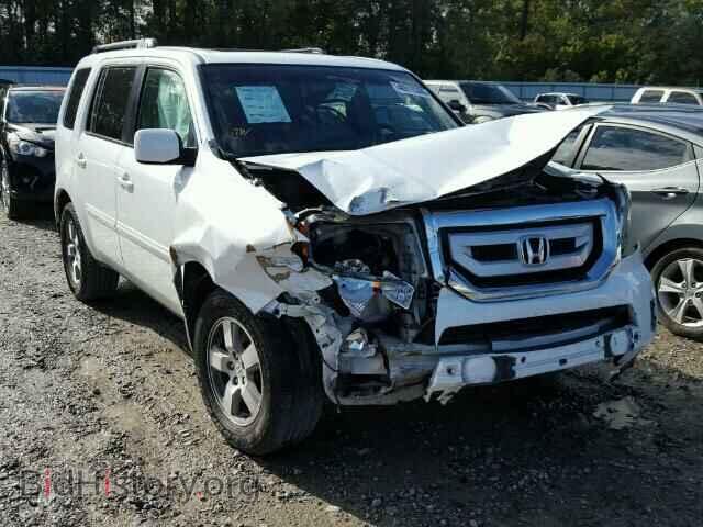 Фотография 5FNYF3H51BB032060 - HONDA PILOT 2011
