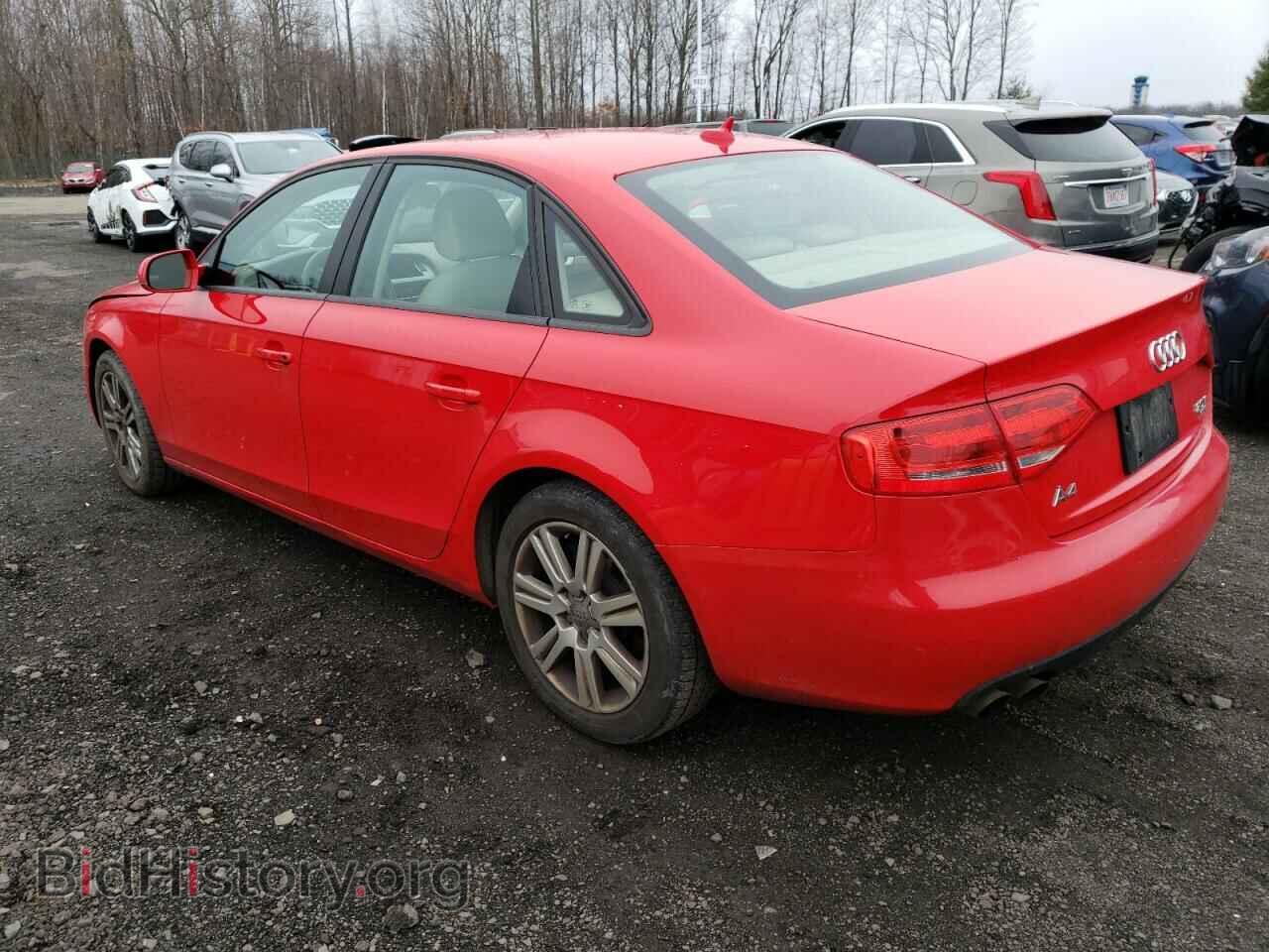 2010 AUDI A4 - VIN: WAUBFAFL0AN003223 - Фото 2