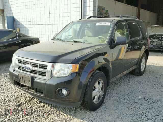 2011 FORD ESCAPE - VIN: 1FMCU9DG3BKA39312 - Фото 2