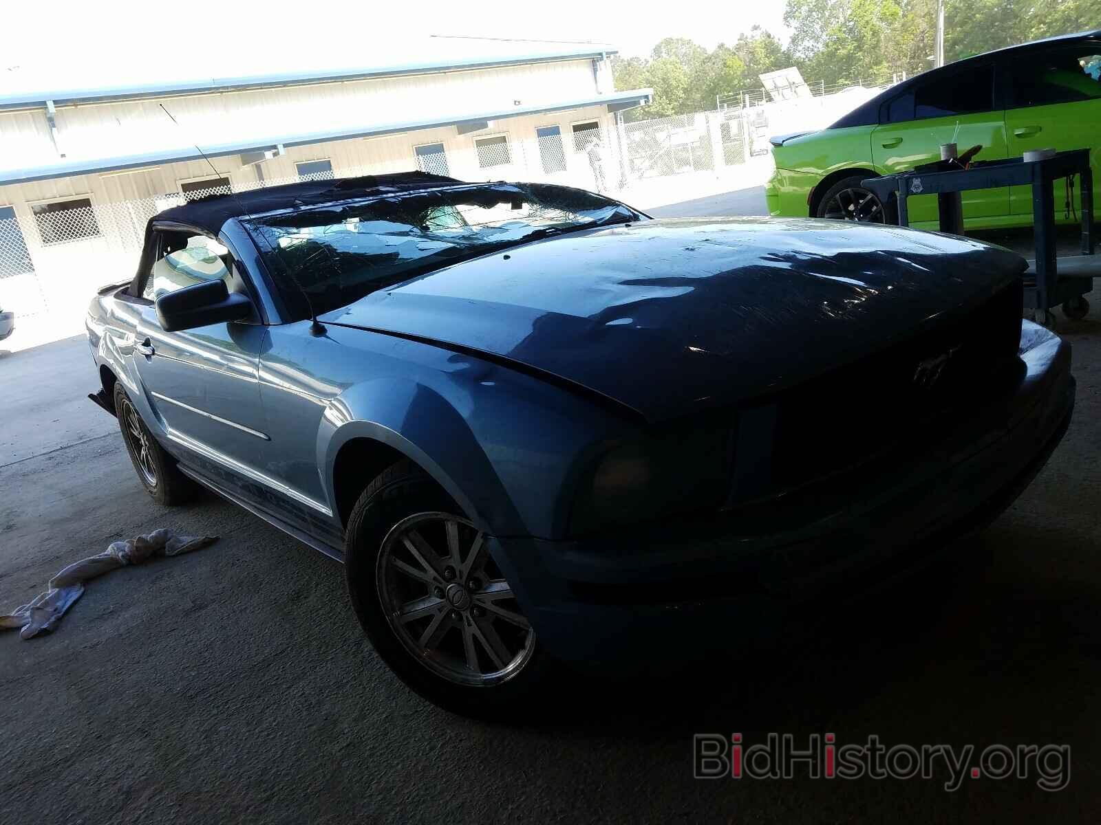 Photo 1ZVHT84N985140574 - FORD MUSTANG 2008