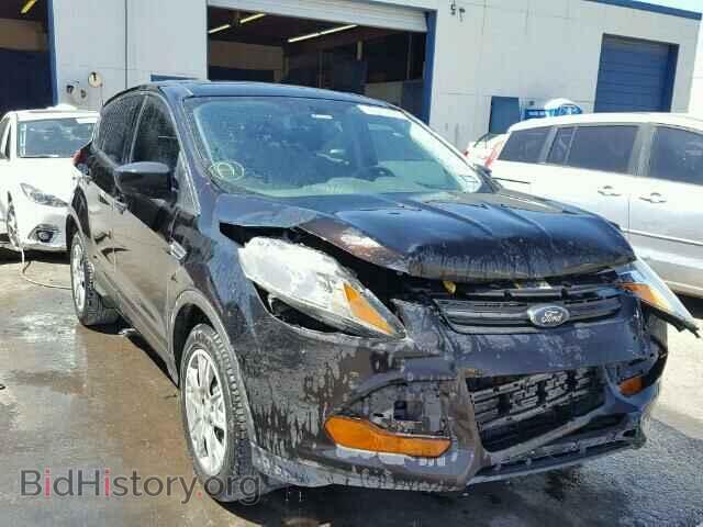 Фотография 1FMCU0F70DUB08019 - FORD ESCAPE 2013