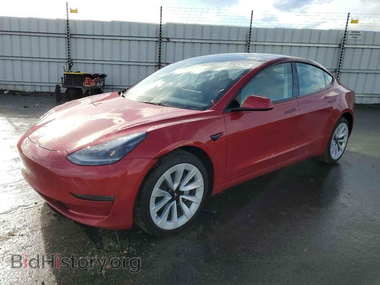 Фотография 5YJ3E1EBXPF606318 - TESLA MODEL 3 2023