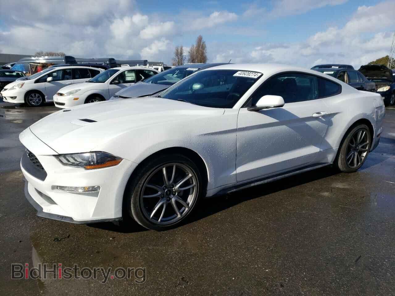 Фотография 1FA6P8TH1K5118835 - FORD ALL Models 2019