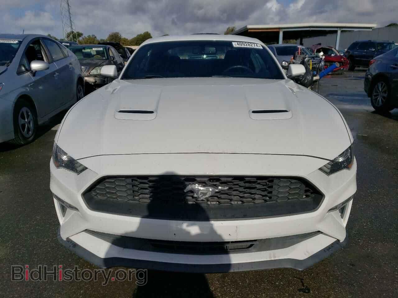 2019 FORD ALL Models - VIN: 1FA6P8TH1K5118835 - Фото 5