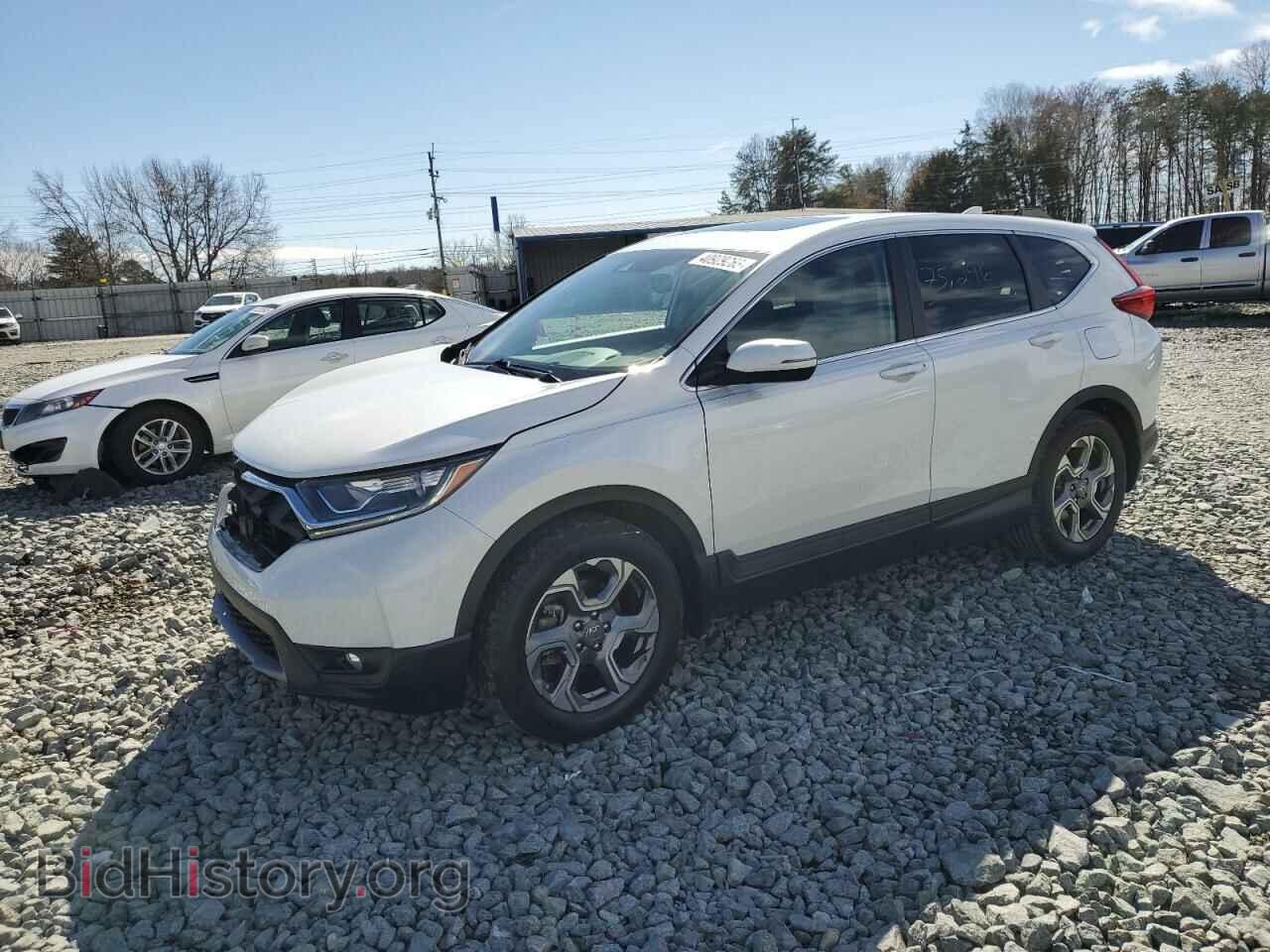 Photo 5J6RW1H89KA032152 - HONDA CRV 2019