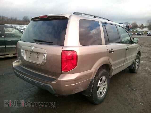 2005 HONDA PILOT - VIN: 5FNYF18675B006757 - Фото 4