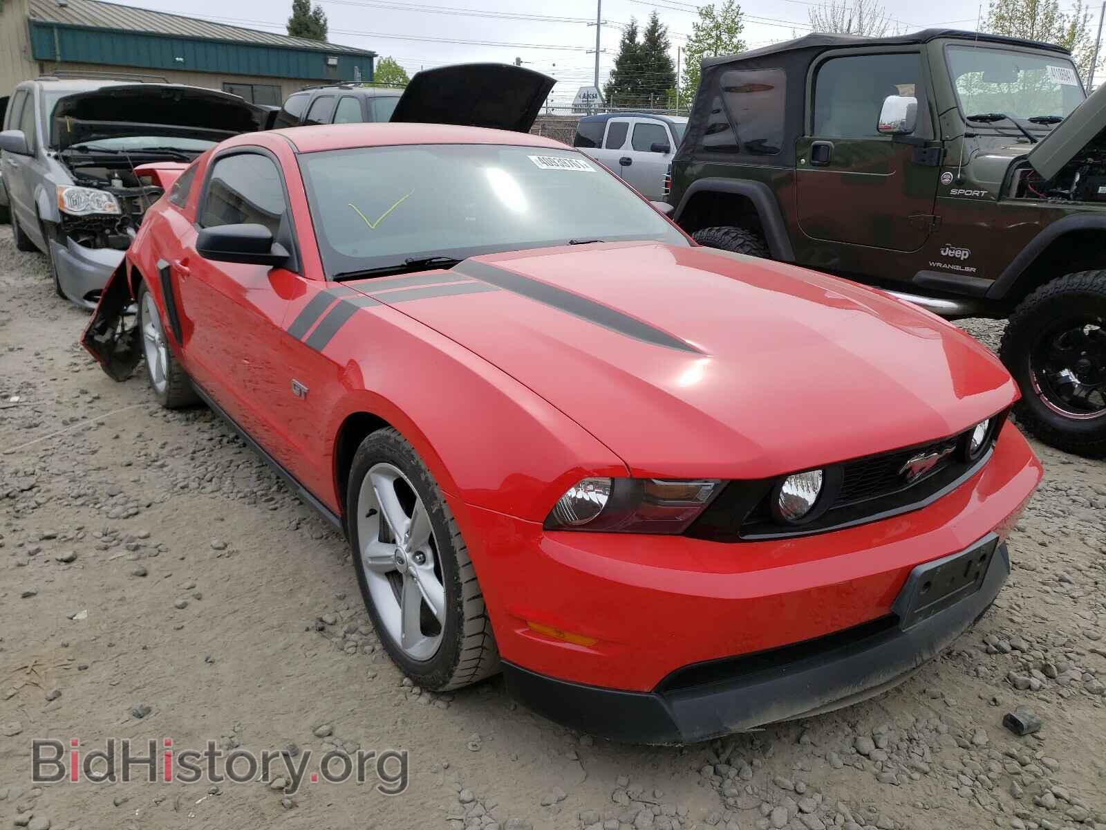 Фотография 1ZVBP8CH6A5119015 - FORD MUSTANG 2010