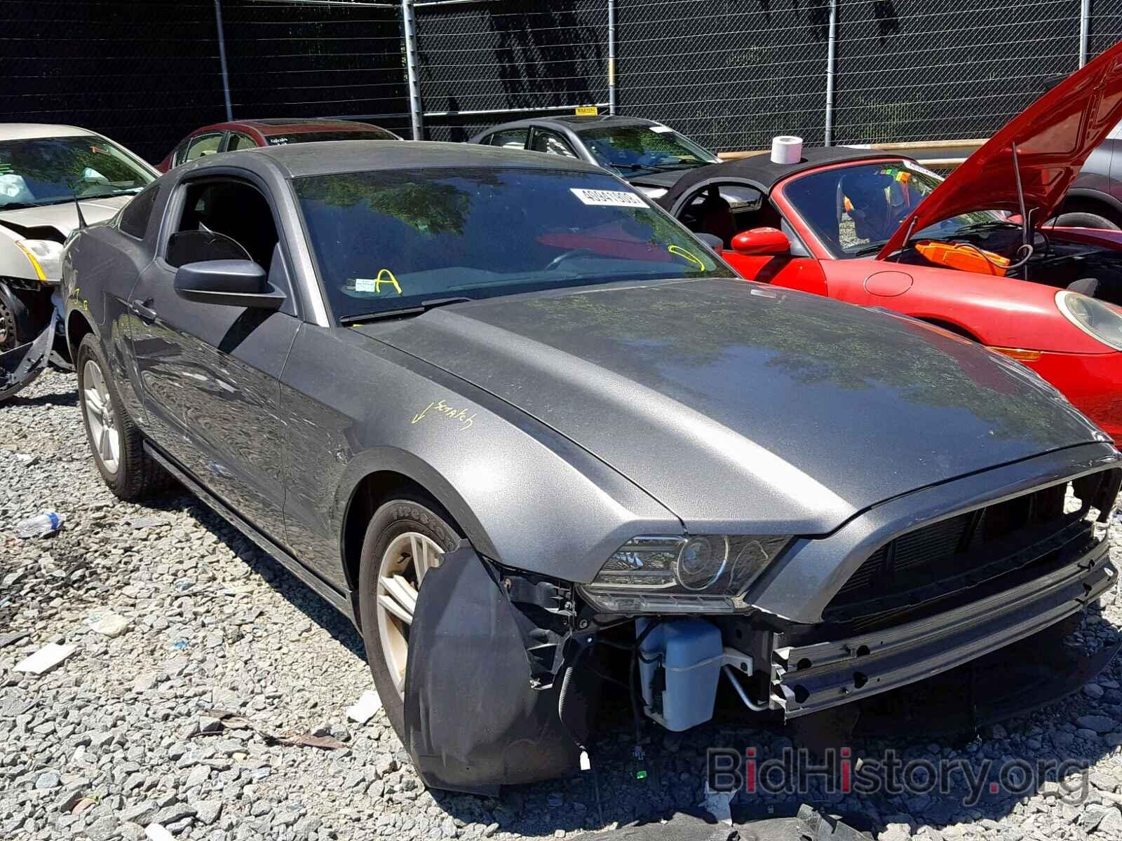 Photo 1ZVBP8AM5D5268696 - FORD MUSTANG 2013