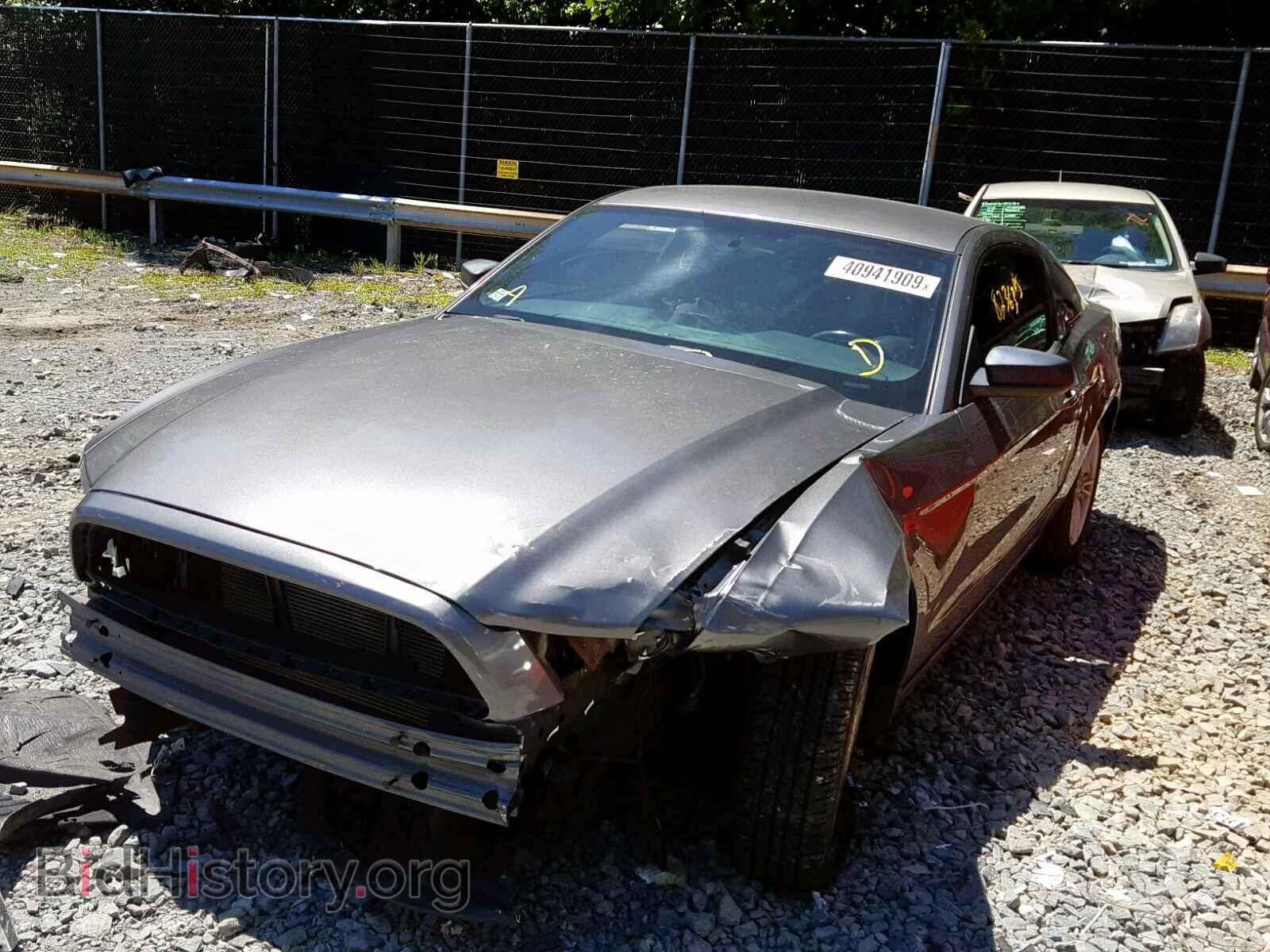 2013 FORD MUSTANG - VIN: 1ZVBP8AM5D5268696 - Фото 2