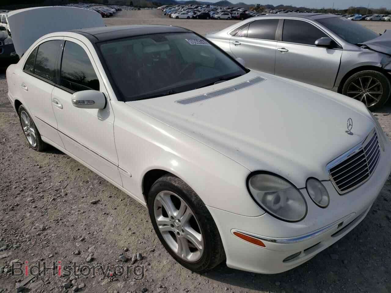 Photo WDBUF56J06A848247 - MERCEDES-BENZ E-CLASS 2006