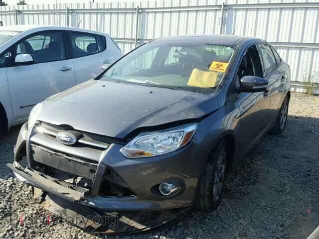 2014 FORD FOCUS - VIN: 1FADP3F20EL177358 - Фото 2