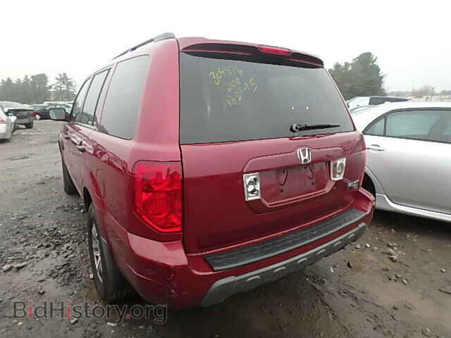2005 HONDA PILOT - VIN: 5FNYF18585B005205 - Фото 3