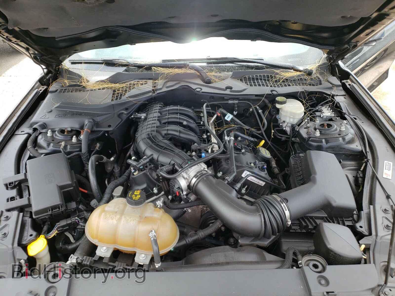 2015 FORD MUSTANG - VIN: 1FA6P8AM6F5372773 - Фото 7